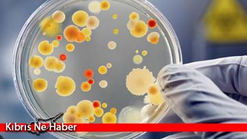 GMO’dan donmuş gıdalarla ilgili uyarı