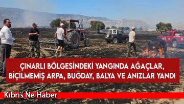 Çınarlı bölgesindeki yangında ağaçlar, biçilmemiş arpa, buğday, balya ve anızlar yandı