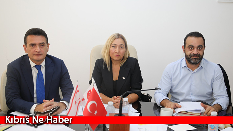 Yabancılar ve Muhaceret (Değişiklik) Yasa Tasarısı komitede onaylandı…