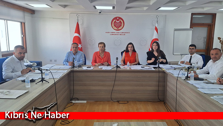 Ekonomi, Maliye, Bütçe ve Plan Komitesi beş yasa tasarısını görüştü, ikisini Genel Kurul’a sevk etti