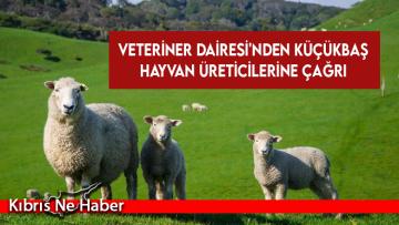 Veteriner Dairesi’nden küçükbaş hayvan üreticilerine çağrı…