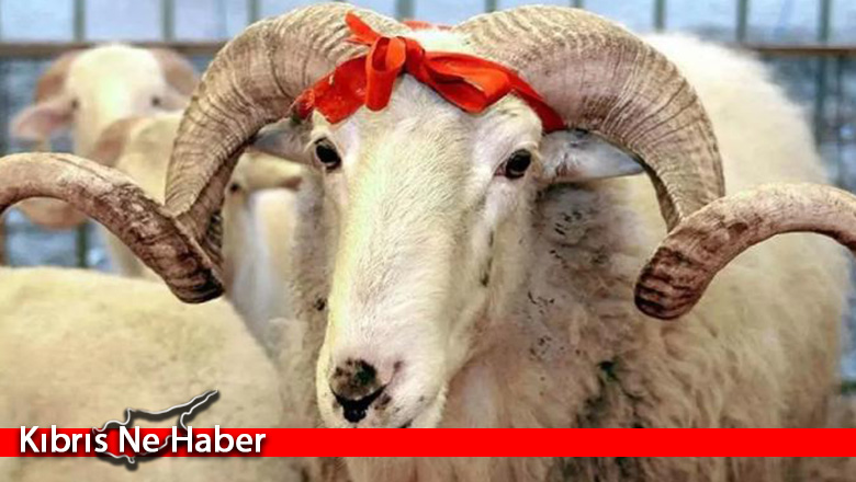 Kurban Bayramı pazar günü başlıyor