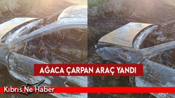 Korkuteli’ndeki trafik kazasında ağaca çarpan araç yandı