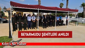 Beyarmudu şehitleri düzenlenen törenle anıldı
