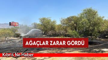 Lefkoşa-Girne ana yolunda yangın…