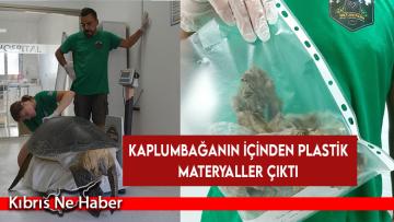 90 Kiloluk Yeşil Kaplumbağanın Tedavisinde Önemli Gelişme!