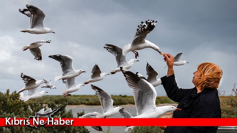 32’nci Devlet Fotoğraf Yarışması sergisi ve ödül töreni 19 Ağustos’ta