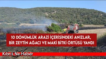 Dipkarpaz-Zaferburnu anayolunda yangın