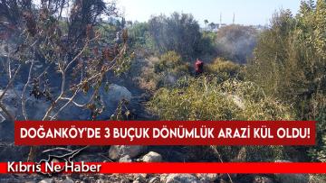 Doğanköy’de çıkan yangın kontrol altına alındı