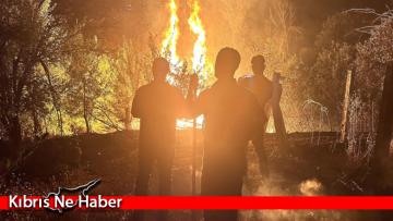 Türkiye’de son bir haftada 131 zirai alan ve orman yangını meydana geldi