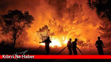 Dünya son yıllarda büyük yangınlarla mücadele etti