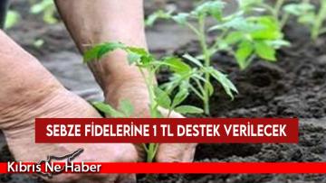 Sebze fidelerine 1 TL destek verilecek