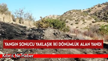 Yeşilırmak’ta yangın…