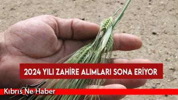 2024 yılı zahire alımları sona eriyor