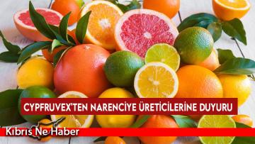 Cypfruvex’ten üreticilere duyuru: Valensiya türü portakallar için sıkma tesisi başvuruları başladı