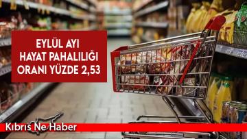 En yüksek artış eğitim ana grubunda…