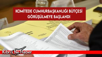 Komitede Cumhurbaşkanlığı bütçesi görüşülmeye başlandı