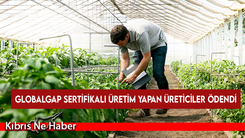 Globalgap sertifikalı üretim yapan üreticiler ödendi