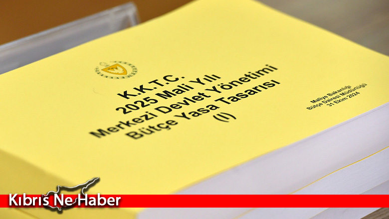 2025 Bütçe Yasa Tasarısı Komitede görüşülüyor…