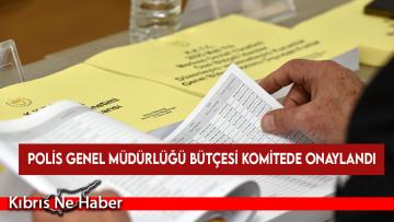 Polis Genel Müdürlüğü bütçesi komitede onaylandı