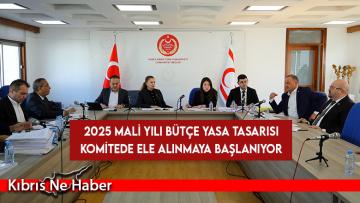 2025 Mali Yılı Bütçe Yasa Tasarısı yarın komitede ele alınmaya başlanıyor