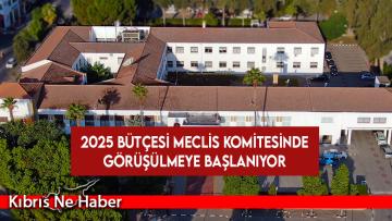 2025 bütçesi yarın Meclis komitesinde görüşülmeye başlanıyor