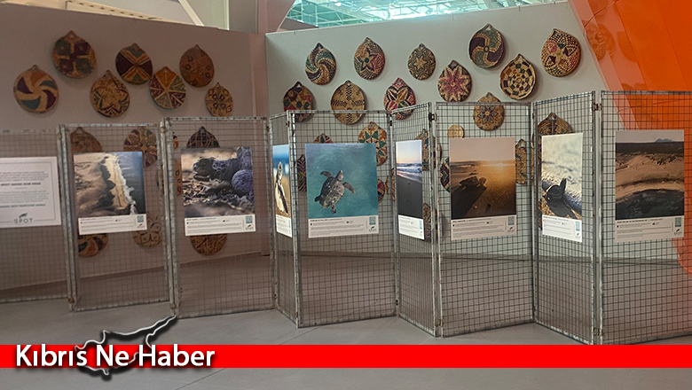 SPOT Marine Life, Kıbrıs’ın deniz kaplumbağalarını havalimanında tanıtıyor