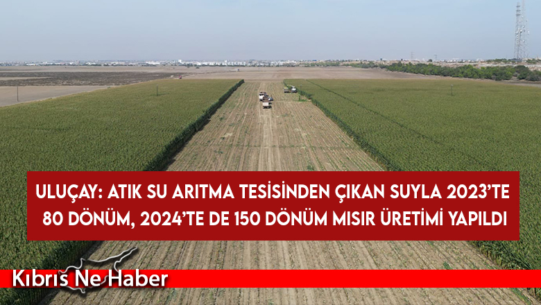 Gazimağusa’da arıtılan atık su ile hayvan yemi üretiliyor