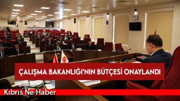 Çalışma Bakanlığı’nın bütçesi onaylandı