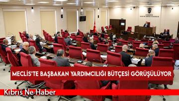Meclis’te Başbakan Yardımcılığı bütçesi görüşülüyor