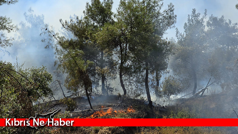 İskele’de düzenlenen toplantıda yangın önlemleriyle ilgili kararlar açıklandı: Risk bölgeleri belirlendi