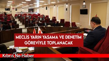 Meclis yarın yasama ve denetim göreviyle toplanacak
