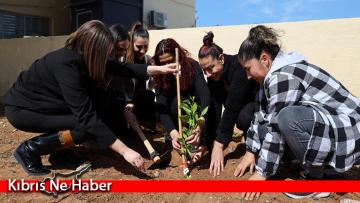 İskele Belediyesi, 8 Mart Kadınlar Günü dolayısıyla bölgede yaşayan kadınlara fidan hediye etti