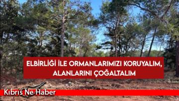 KEMA Mütevelli Heyeti Başkanı İlseven: Elbirliği ile ormanlarımızı koruyalım, alanlarını çoğaltalım