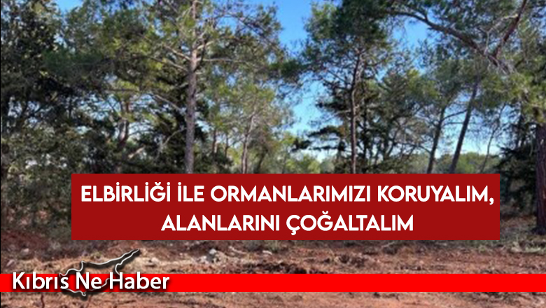 KEMA Mütevelli Heyeti Başkanı İlseven: Elbirliği ile ormanlarımızı koruyalım, alanlarını çoğaltalım