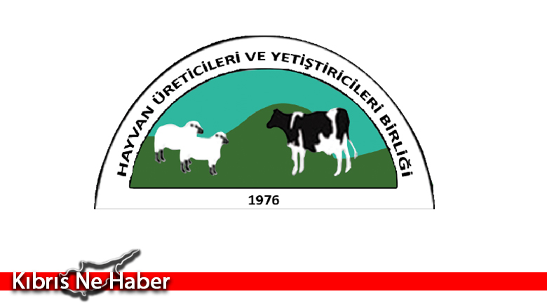 Hayvan Üreticileri ve Yetiştiricileri Birliği’nde büyükbaş-küçükbaş yönetimleri belirlendi