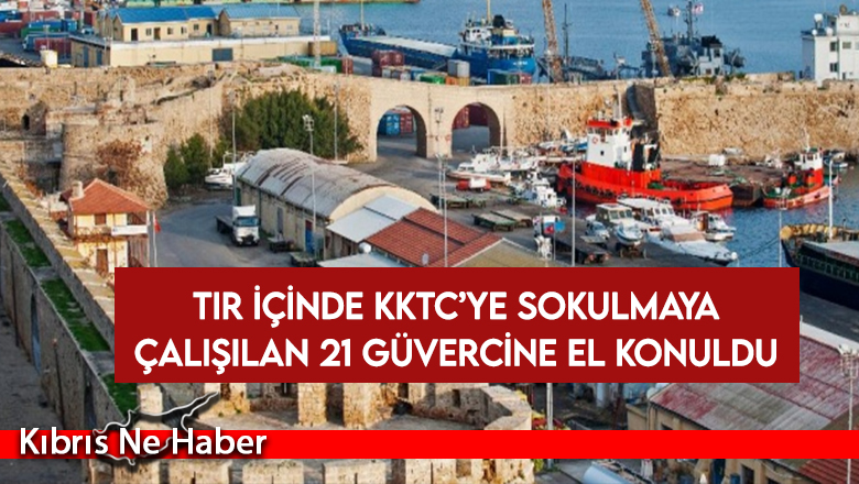 TIR içinde KKTC’ye sokulmaya çalışılan 21 güvercine el konuldu