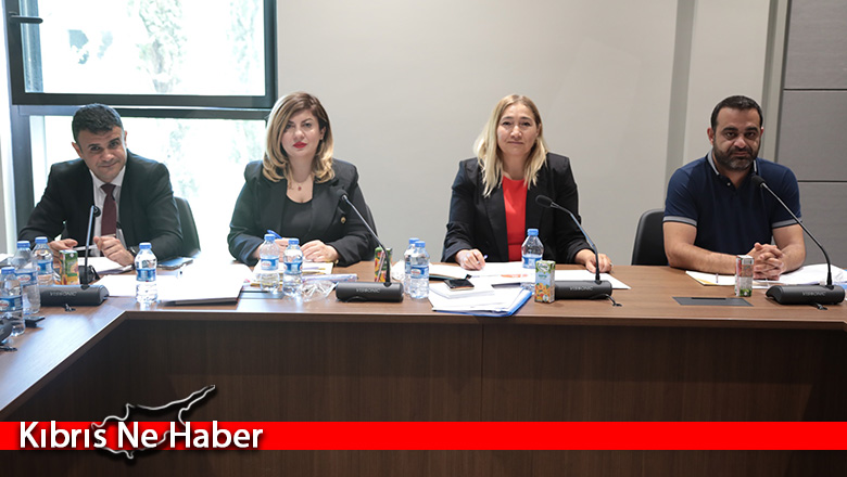 “Yabancıların Çalışma İzinleri (Değişiklik) Yasa Tasarısı” oy birliğiyle onaylanarak Genel Kurul gündemine sevk edildi