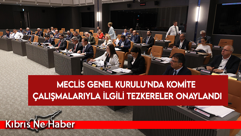 Meclis Genel Kurulu’nda komite çalışmalarıyla ilgili tezkereler onaylandı