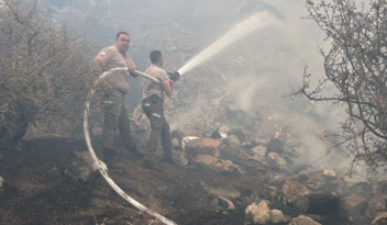 Boğazköy’de çıkan yangın, ekiplerin müdahalesiyle kontrol altına alındı