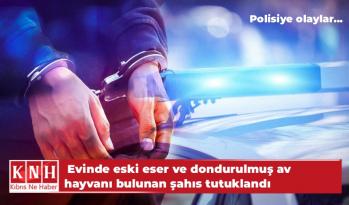 Polisiye olaylar… Evinde eski eser ve dondurulmuş av hayvanı bulunan şahıs tutuklandı
