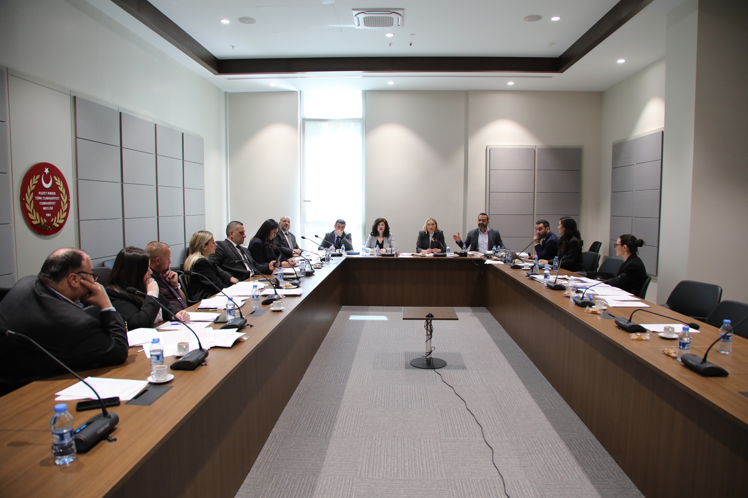 Hukuk, Siyasi İşler, Dışilişkiler ve Savunma Komitesi, Ceza (Değişiklik) Yasa Tasarısı’nı görüştü