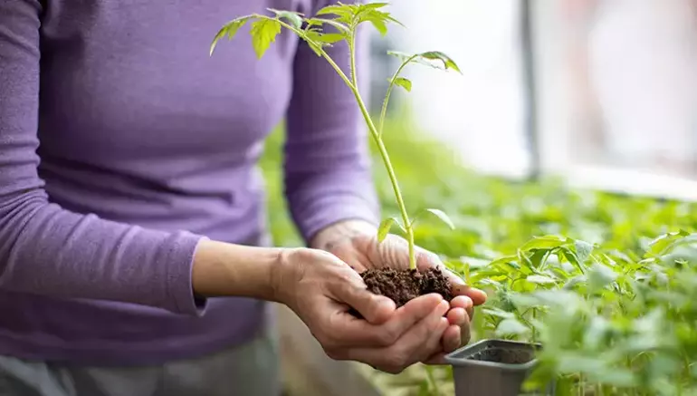 Evinize doğal bir dokunuş… İşte balkon bahçesi yapmak için bilmeniz gerekenler!