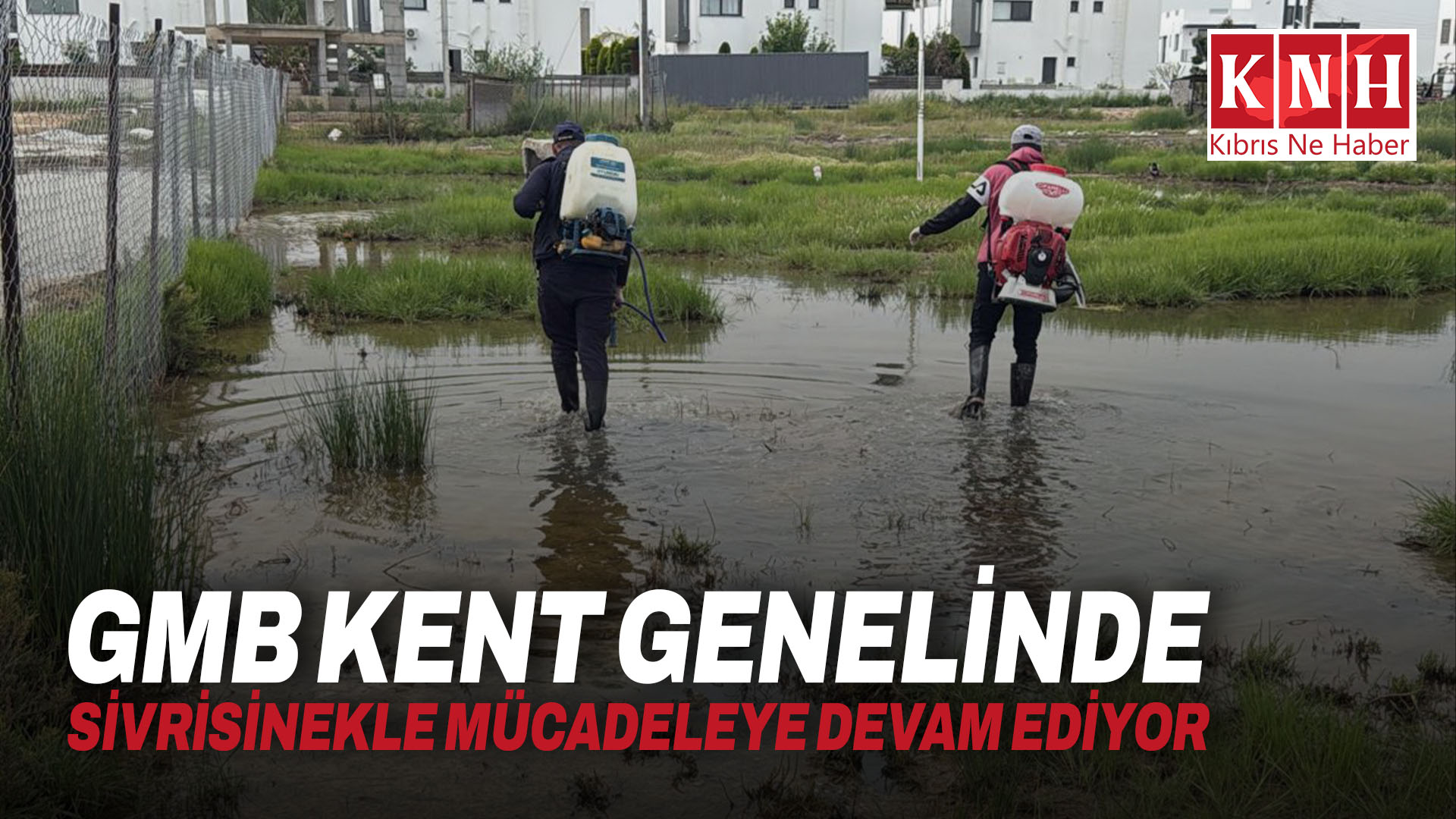 GMB kent genelinde sivrisinekle mücadeleye devam ediyor