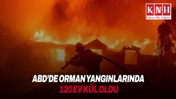ABD’nin Georgia eyaletinde orman yangınlarında 120’den fazla ev kül oldu