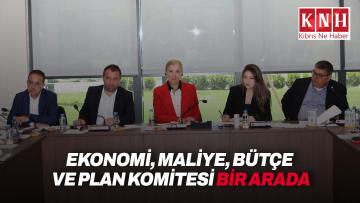 Ekonomi, Maliye, Bütçe ve Plan Komitesi bugün toplandı