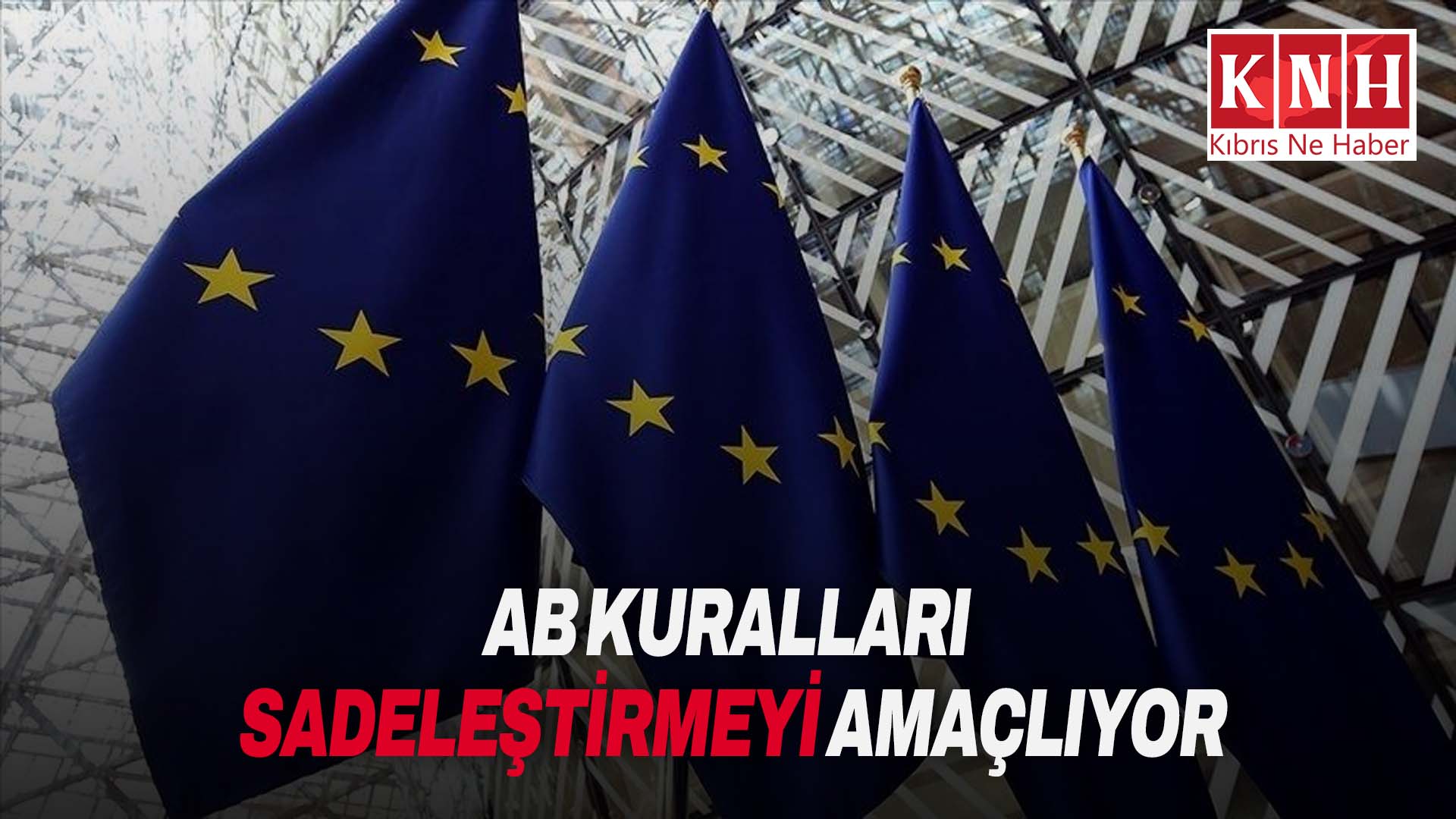 AB’den kuralları sadeleştirme planı