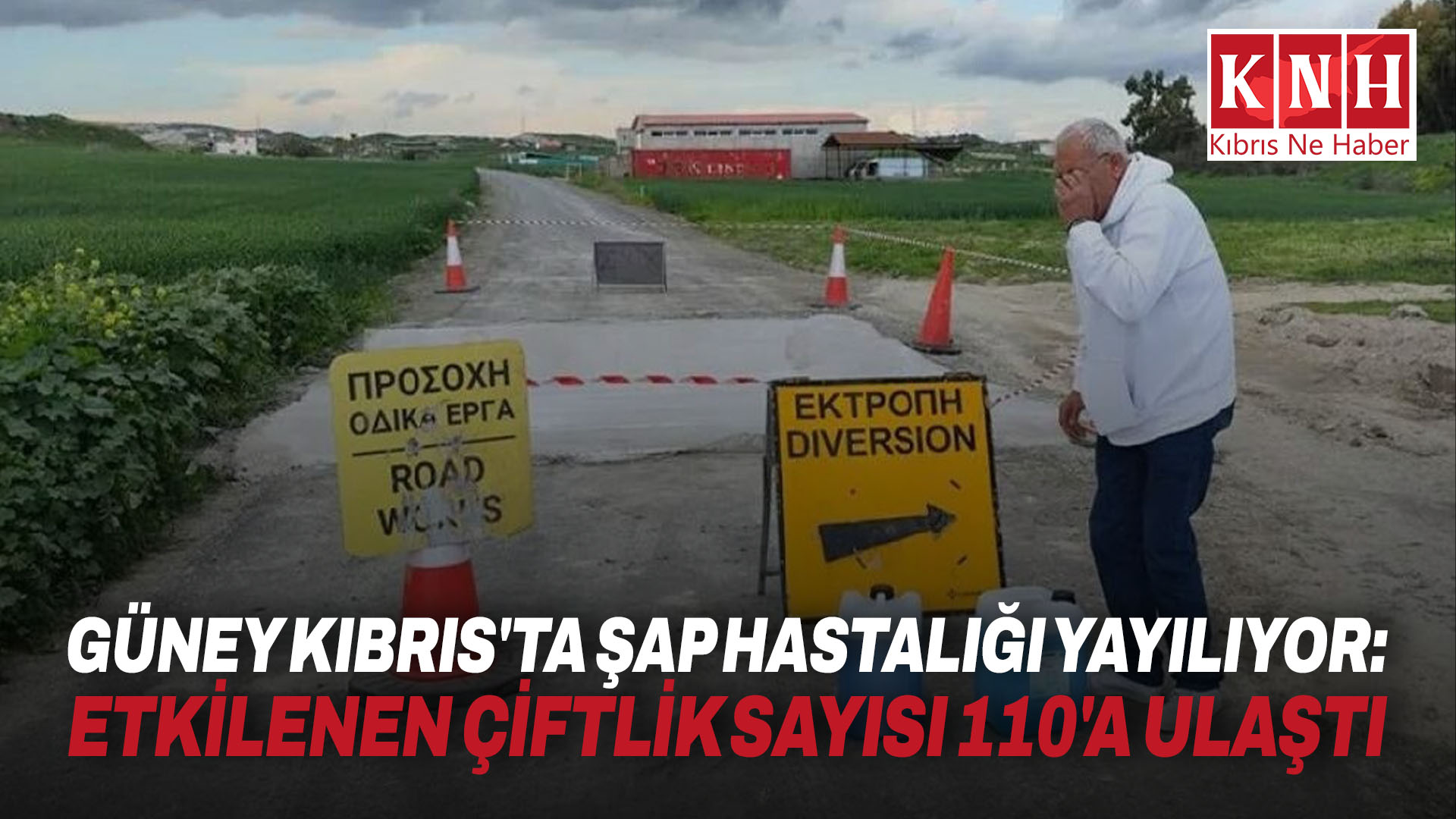 Güney Kıbrıs’ta şap hastalığı yayılıyor: Etkilenen çiftlik sayısı 110’a ulaştı