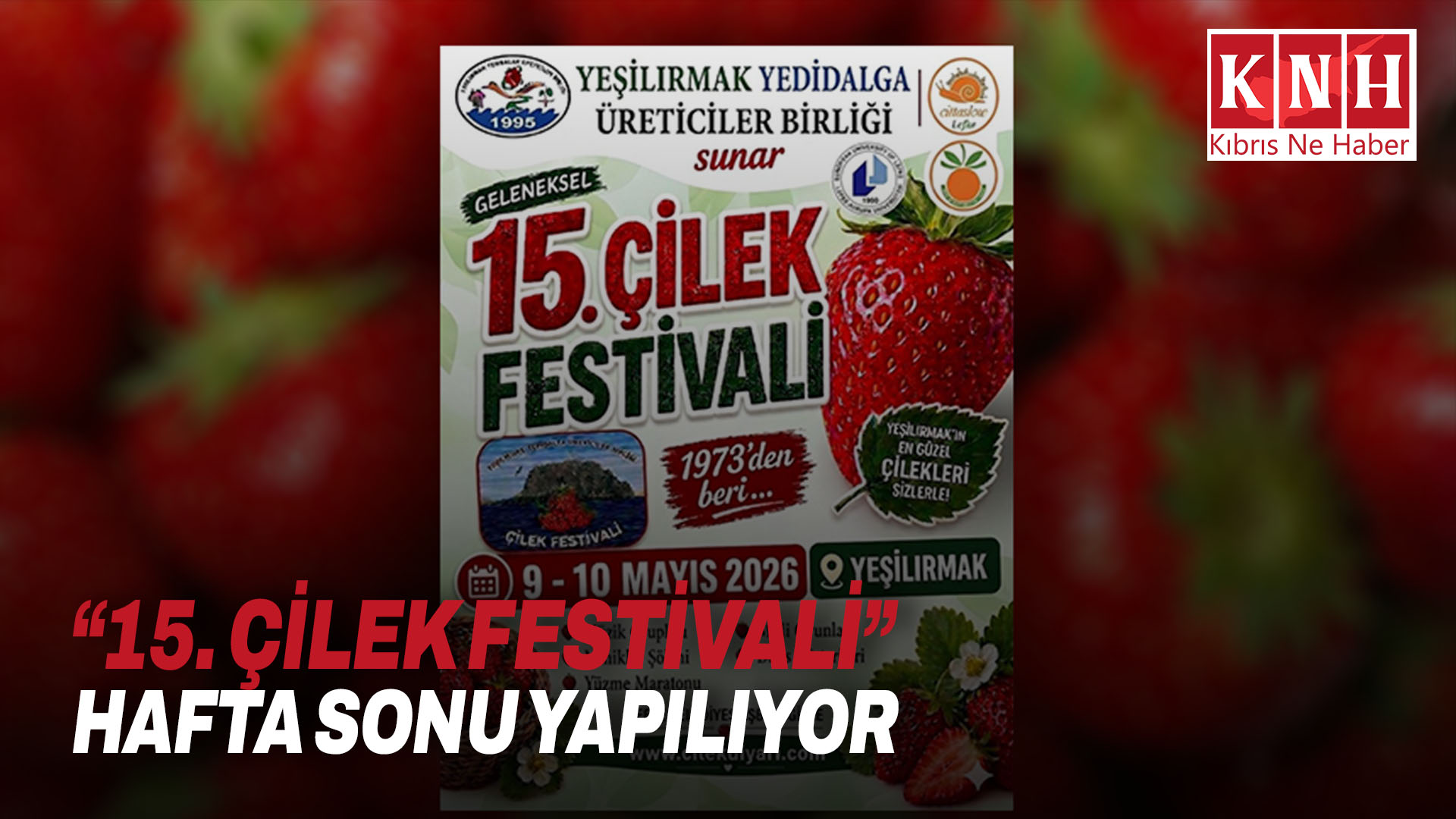 “15. Çilek Festivali” hafta sonu yapılıyor