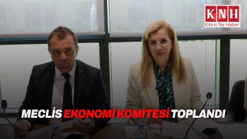 Ekonomi Komitesi toplandı: Gelir Vergisi ve İtibari Para Tasarıları Genel Kurul yolunda